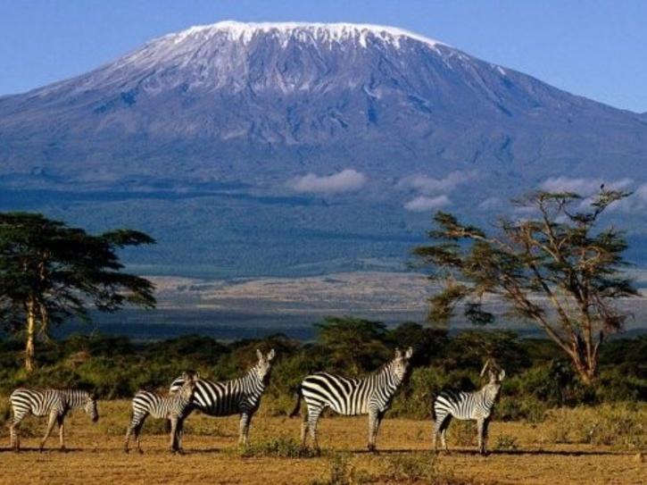 Mt Kilimanjaro Is Burning For Past 7 Days, It Could Wipe Out One Of ...