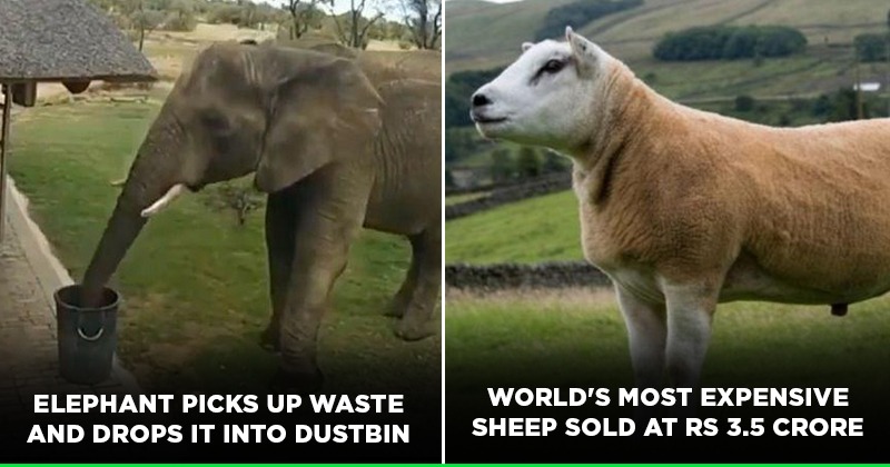 Noteworthy Things That Happened This Past Week