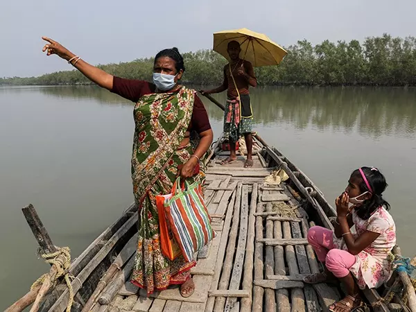 People In Sunderbans Are Forced Into Mangroves Due To Poverty