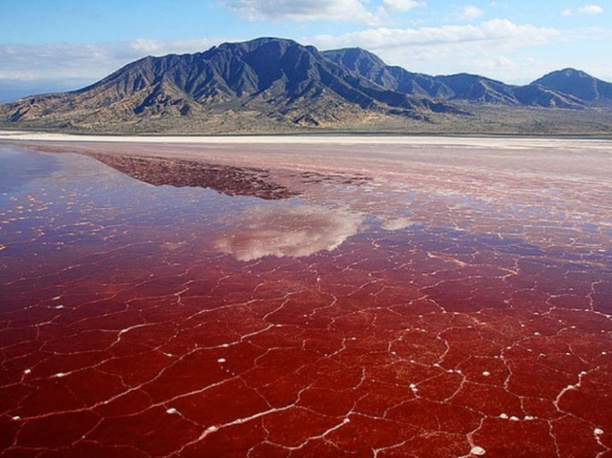 Picture of Lake Natron