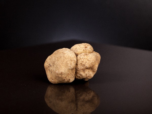 White Truffles most expensive food