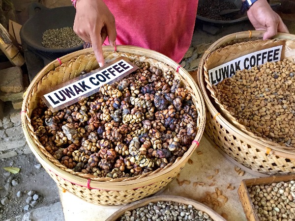 Kopi Luwak Coffee most expensive food