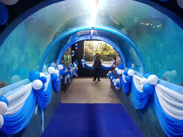 See Indian Railways' First Movable Freshwater Tunnel Aquarium Opens At Bengaluru Station