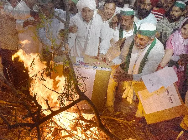 Burn Copies Of Farm Laws This Is How Farmers Celebrate "Holika Dahan"
