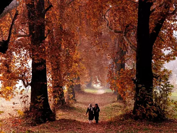 Autumn season in Kashmir