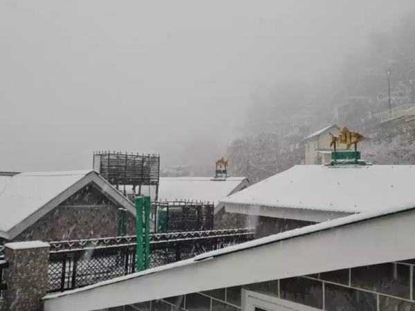 Shimla: Queen Of Hills Turns Into Stunning Winter Wonderland After ...