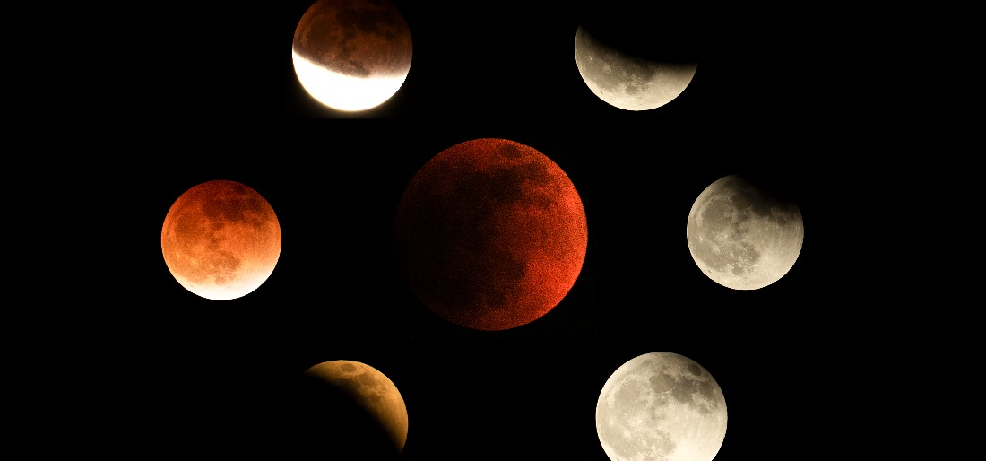 Super Flower Blood Moon Photos