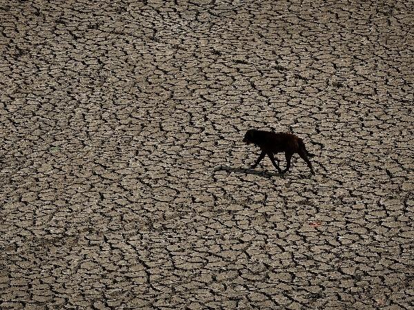 Yamuna Is Drying Up