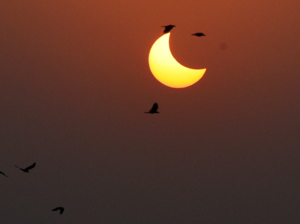 Spectacular Images Of Last Solar Eclipse Of 2022 Leave Everyone Spellbound