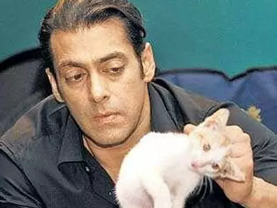 Salman with a stray cat
