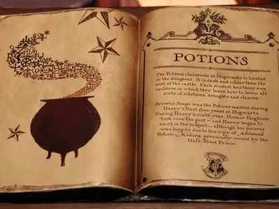 Potter magic