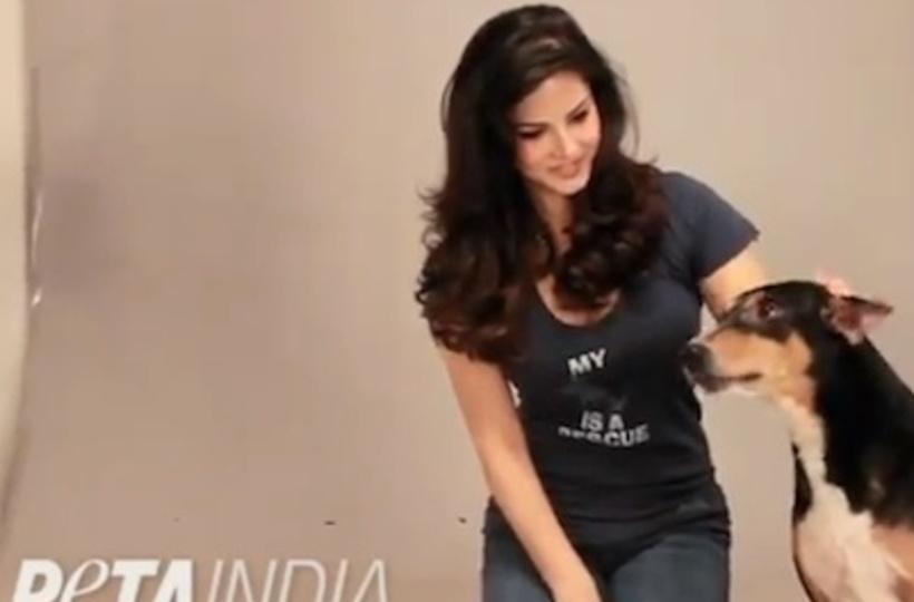 Sunny Leone: Animals Need Safe Sex Too Sunny Leone: Animals Need Safe Sex Too