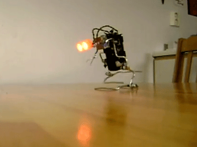 Homemade Walking Robot