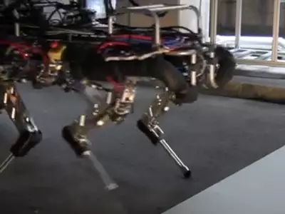 IIT's HyQ Quadruped Robot