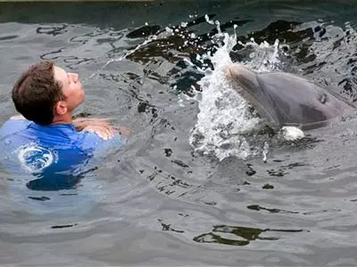 Study suggests dolphins can imitate humans