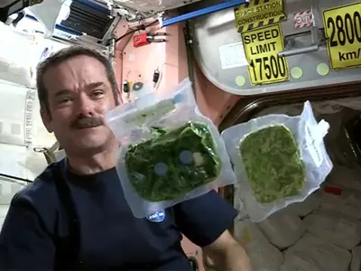 How to Cook Spinach In Space