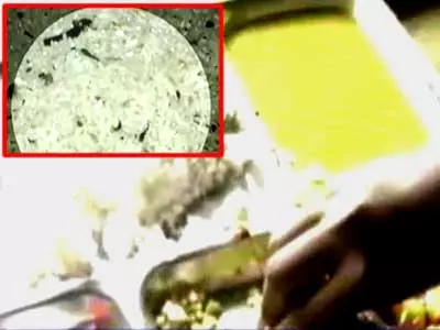 Midday meal horror: Rat, insects found in food