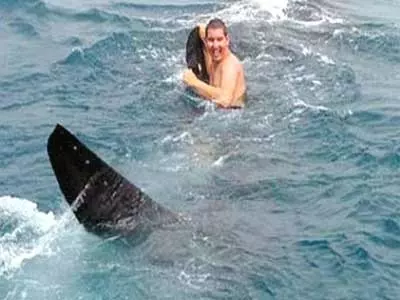 Florida teen catches ride with whale shark