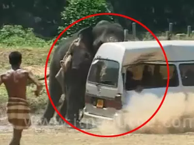 Caught on cam: Angry elephant crushes a van