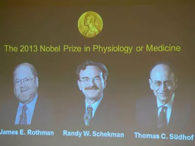 Americans, German Win Nobel For Medicine