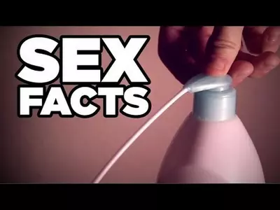 sexfacts