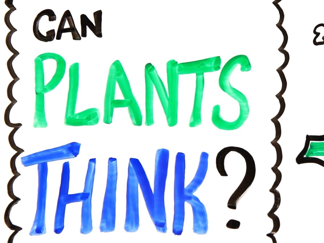 Trending stories on Indian Lifestyle, Culture, Relationships, Food