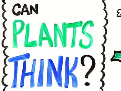 Can Plants Think