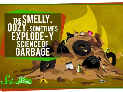 Science of Garbage