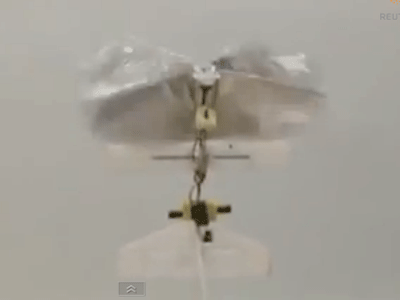 Self-Navigating Flapping Drone