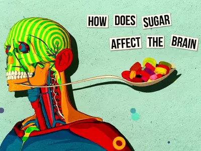 sugar and brain
