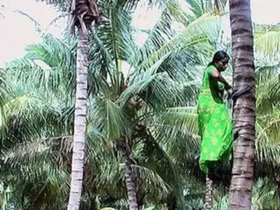 Meet The Woman Who Climbs The Coconut Tree